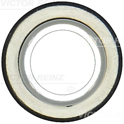Shaft Seal, crankshaft